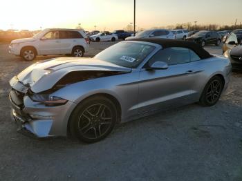  Salvage Ford Mustang