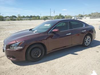  Salvage Nissan Maxima