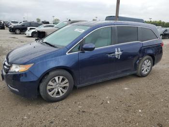  Salvage Honda Odyssey