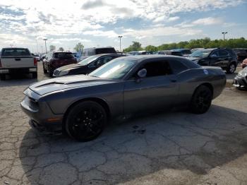  Salvage Dodge Challenger