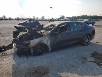  Salvage Acura TLX