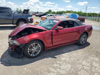  Salvage Ford Mustang