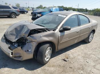  Salvage Dodge Neon