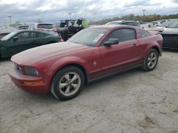  Salvage Ford Mustang