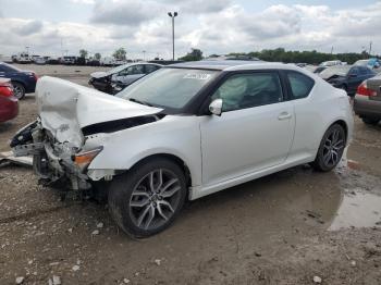  Salvage Toyota Scion