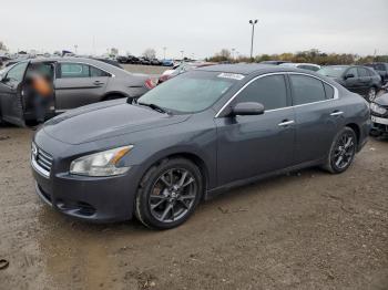  Salvage Nissan Maxima