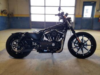  Salvage Harley-Davidson Xl883 N