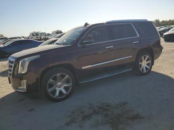  Salvage Cadillac Escalade