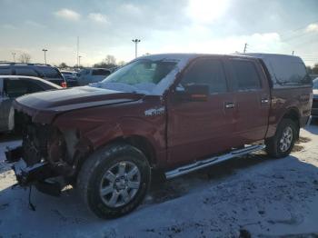  Salvage Ford F-150