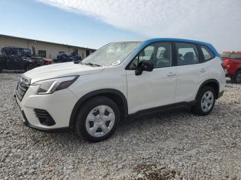  Salvage Subaru Forester