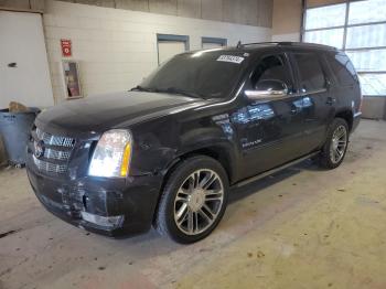  Salvage Cadillac Escalade