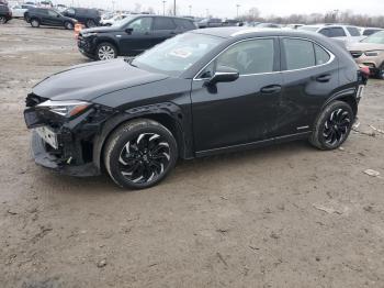  Salvage Lexus Ux