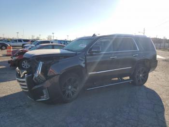  Salvage Cadillac Escalade