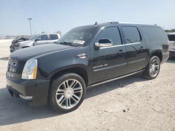  Salvage Cadillac Escalade