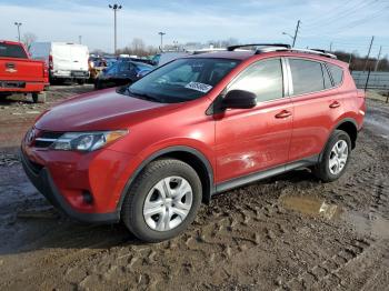  Salvage Toyota RAV4