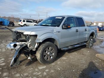  Salvage Ford F-150