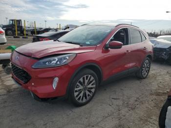  Salvage Ford Escape