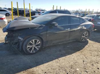  Salvage Nissan Maxima