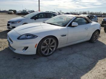  Salvage Jaguar XK