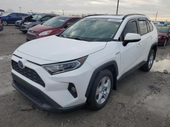  Salvage Toyota RAV4