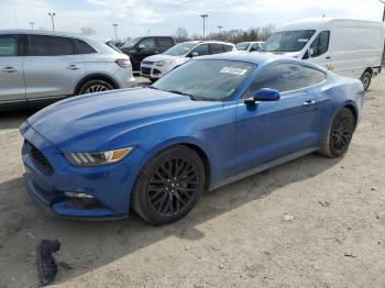  Salvage Ford Mustang