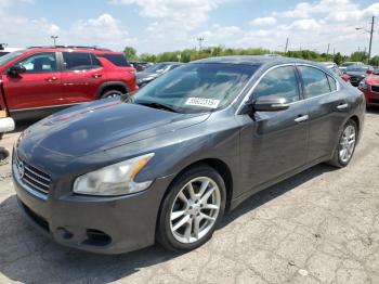  Salvage Nissan Maxima