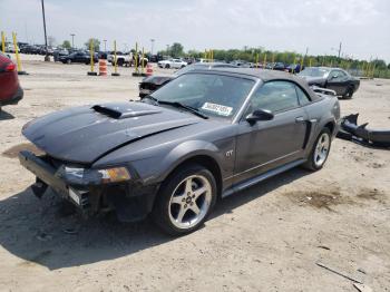  Salvage Ford Mustang