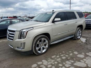  Salvage Cadillac Escalade