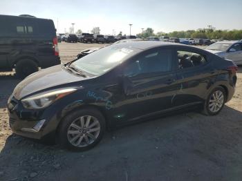  Salvage Hyundai ELANTRA
