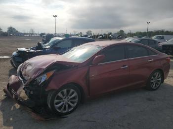  Salvage Hyundai SONATA