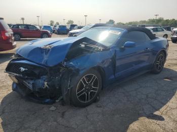 Salvage Ford Mustang