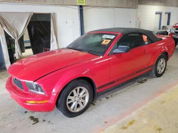  Salvage Ford Mustang