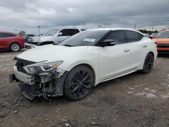  Salvage Nissan Maxima