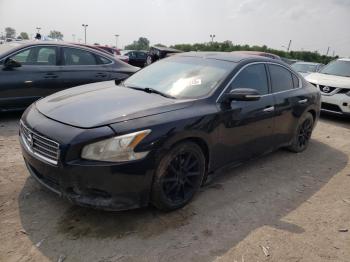  Salvage Nissan Maxima