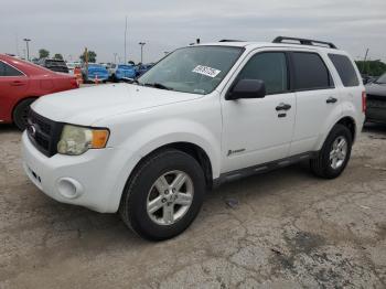  Salvage Ford Escape