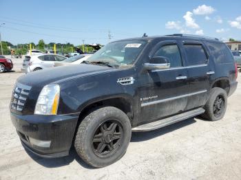  Salvage Cadillac Escalade