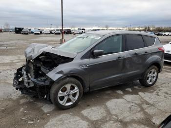  Salvage Ford Escape
