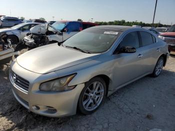  Salvage Nissan Maxima