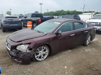  Salvage Nissan Maxima