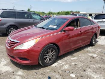  Salvage Hyundai SONATA