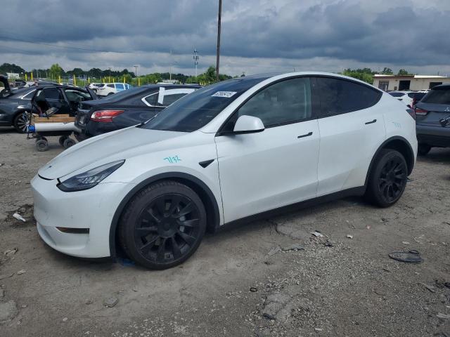  Salvage Tesla Model Y