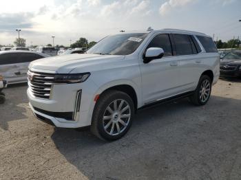  Salvage Cadillac Escalade