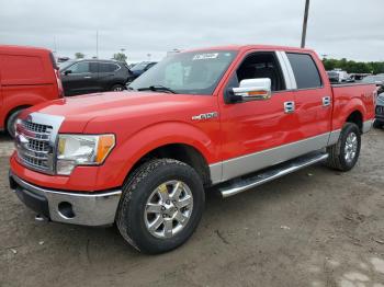  Salvage Ford F-150