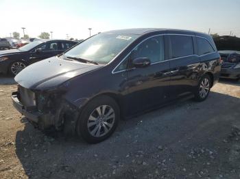  Salvage Honda Odyssey