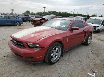  Salvage Ford Mustang