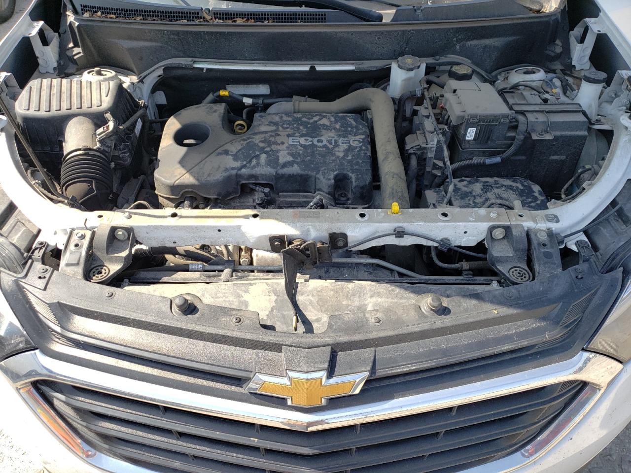 Chevrolet Equinox Ls Image 2