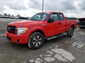  Salvage Ford F-150