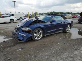  Salvage Ford Mustang
