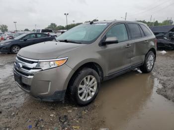  Salvage Ford Edge