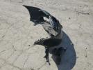 Pontiac G6 Base Image 11